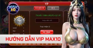 vip max10